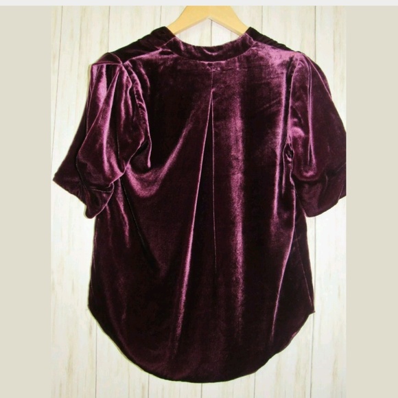 joie ance velvet top